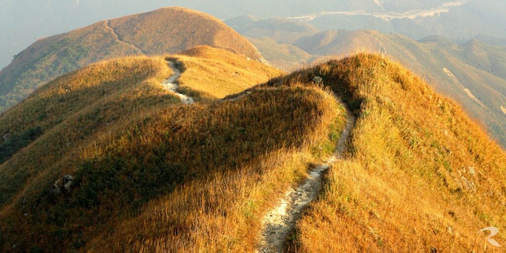 Delay in Ramedica Herbal Wonder Balm launch due to FDA compliance